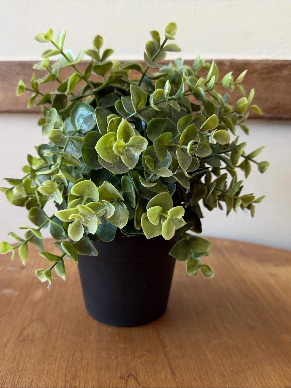 IKEA Green Faux Eucalyptus in Black Pot